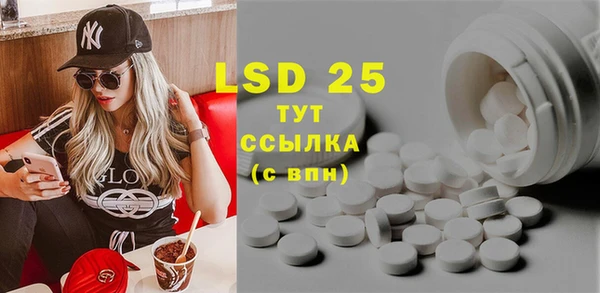 индика Кулебаки