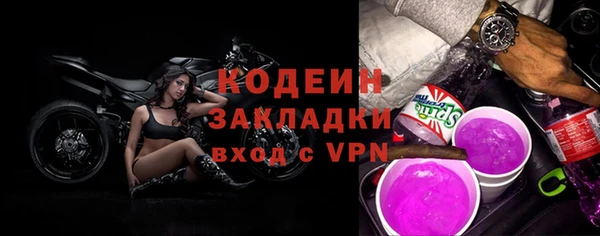 индика Кулебаки