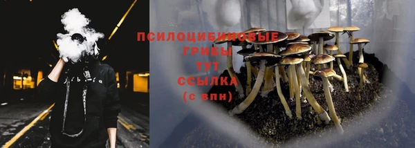 меф Кукмор