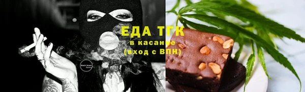 индика Кулебаки