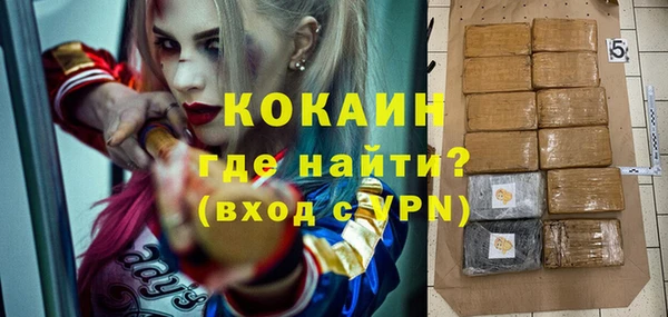 индика Кулебаки