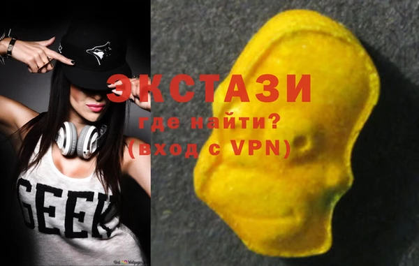 индика Кулебаки