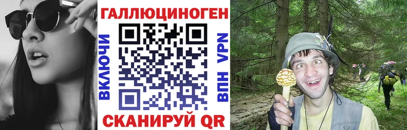 ОМГ ОМГ как зайти  Тимашёвск  Галлюциногенные грибы Psilocybe 