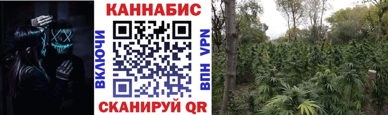 МАРИХУАНА план  Тимашёвск 